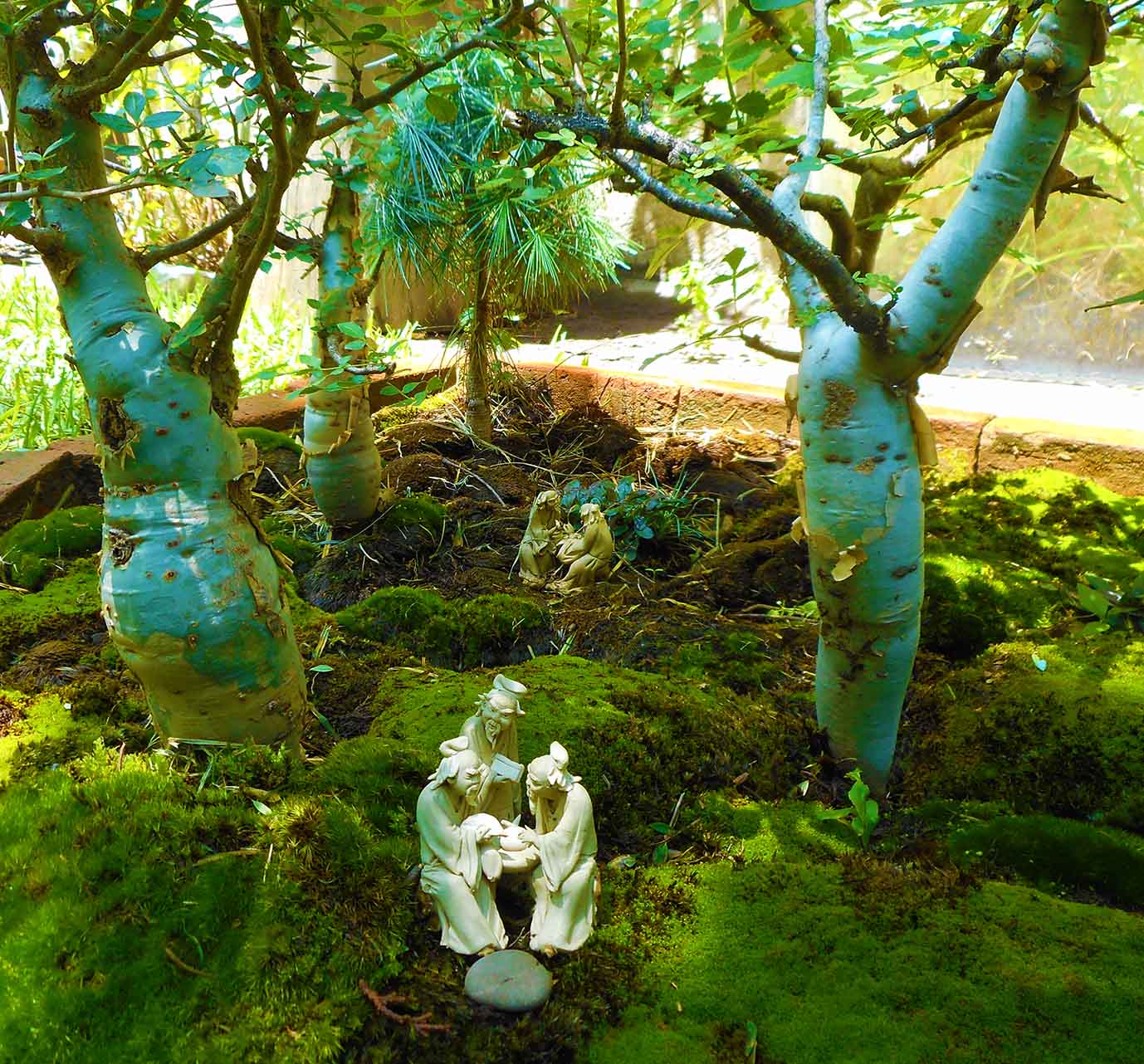 mINAITURE fOREST fACTORY aUSTIN tEXAS